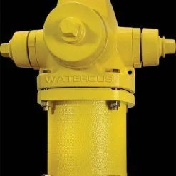 Budget 😀 American Flow Control Waterous Pacer® 5 ft. Mechanical Joint Assembled Fire Hydrant 🥰