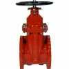 Hot Sale 🤩 American Flow Control 2500 Series 2 in. Flanged Ductile Iron Open Left 250 psig Resilient Wedge Gate Valve 🛒