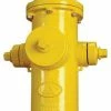 Best deal 😀 American Flow Control American Darling® B-62-B 4 ft. Mechanical Joint Assembled Fire Hydrant 😉