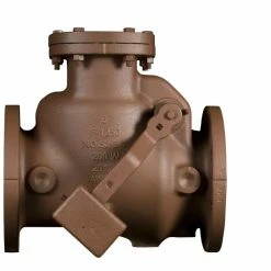Budget 👏 American Flow Control Series 52-SC 8 in. Cast Iron Flanged Check Valve 🔥