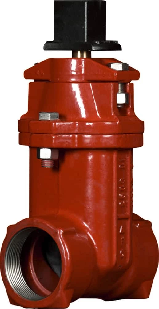 Hot Sale โค๏ธ American Flow Control 2500 Series 2 in. Threaded Ductile Iron Open Left Resilient Wedge Gate Valve with Handwheel ๐ 1 Hot Sale โค๏ธ American Flow Control 2500 Series 2 in. Threaded Ductile Iron Open Left Resilient Wedge Gate Valve with Handwheel ๐