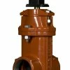 Best Pirce 🎁 American Flow Control 2500 Series 2-1/2 in. Threaded Ductile Iron Open Left Resilient Wedge Gate Valve 🌟