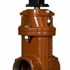 Best reviews of 🛒 American Flow Control 2500 Series 2 in. Threaded Ductile Iron Open Left 250 psig Resilient Wedge Gate Valve 🤩