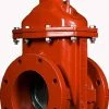 Outlet 🛒 American Flow Control 2500 Series 10 in. Flanged Ductile Iron Open Left Resilient Wedge Gate Valve ✔️