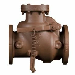 Buy ✨ American Flow Control Series 52-SC 6 in. Epoxy 🧥 Coated Cast Iron Flanged Check Valve 💯