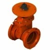 Best Sale 😉 American Flow Control Ductile Iron Post Indicator Plate for 8 in. Gate Valve 💯