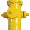 Cheap 🥰 American Flow Control American Darling® B-62-B 5 ft. Mechanical Joint Assembled Fire Hydrant ⭐