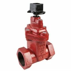 Cheap 😉 American Flow Control 2500 Series 2 in. Threaded Ductile Iron OS&Y Non-Rising Resilient Wedge Gate Valve 🔥